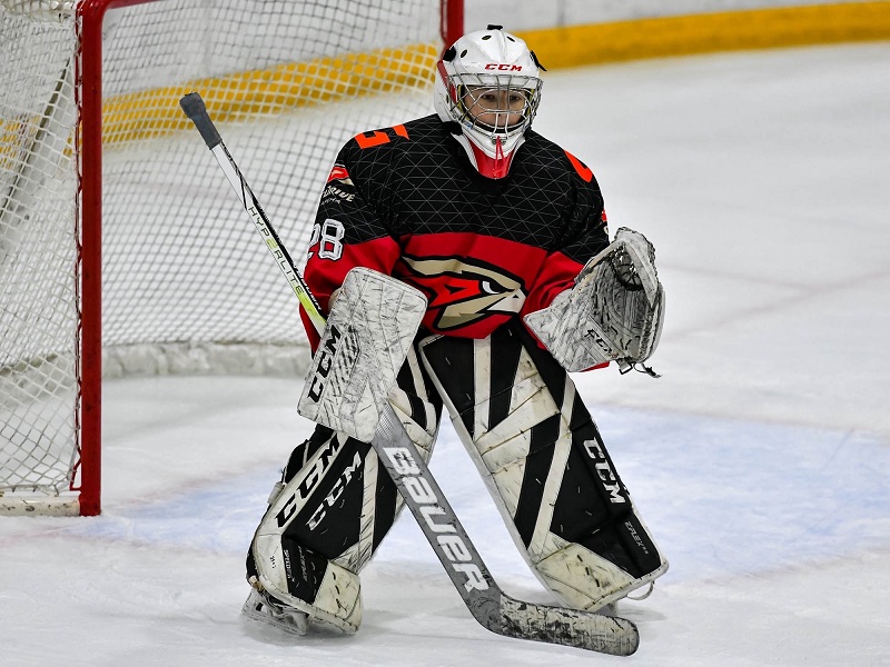 blagotvoritelnost v detskom hokkee vozmozhnosti i ogranicheniya