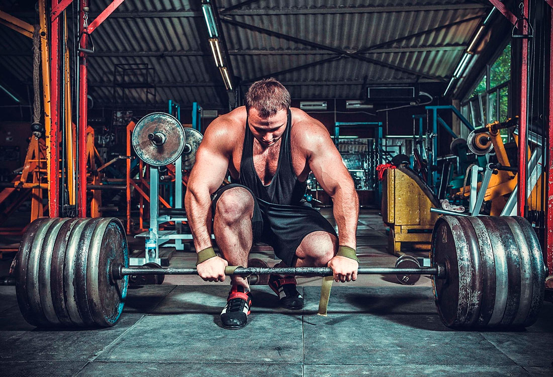 Эффективность изолирующих и комплексных упражнений в силовых тренировках 4 effektivnost izoliruyuschih i kompleksnyh uprazhneniy v silovyh trenirovkah