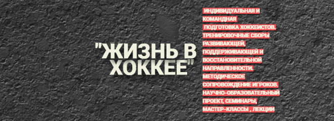 effektivnye strategii publichnyh vystupleniy dlya hokkeistov