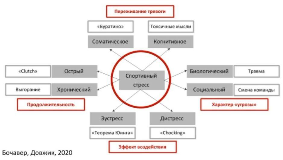 Эффективные стратегии управления стрессом для хоккеистов под давлением 3 effektivnye strategii upravleniya stressom dlya hokkeistov pod davleniem