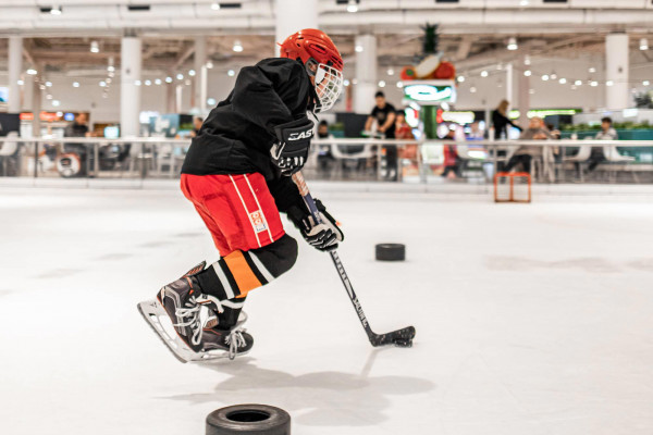 koordinatsionnye sposobnosti kak osnova masterstva hokkeista