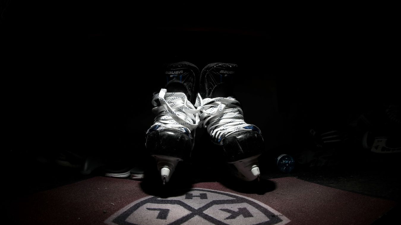 professionalnaya attestatsiya trenerov po hokkeyu