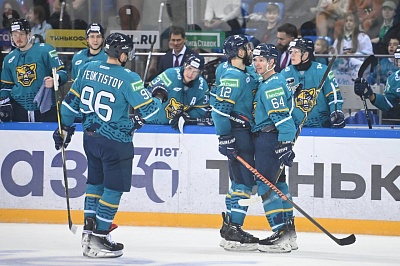 profilaktika travm i zabolevaniy u yunyh hokkeistov