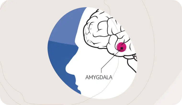 upravlyaemaya meditatsiya dlya hokkeistov snizhenie stressa i povyshenie kontsentratsii